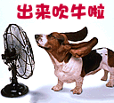 qq表情图片出来吹牛啦