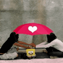 qq����ͼƬ˽��