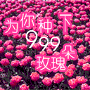 qq表情图片999朵玫瑰