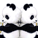 qq表情图片熊猫的爱情