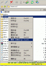 使用flashfxp修改目录属性为0777