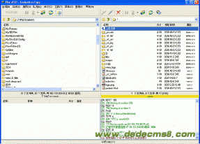 ShopEx网店系统二进制上传FTP工具设置