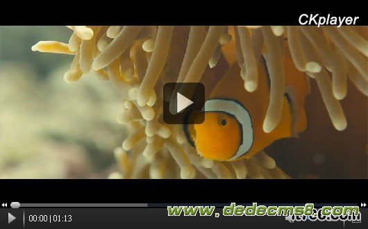 ckplayer6.1网页视频播放器详细介绍