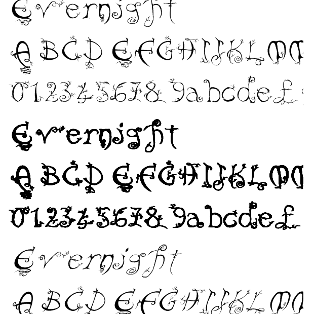 evernight��������